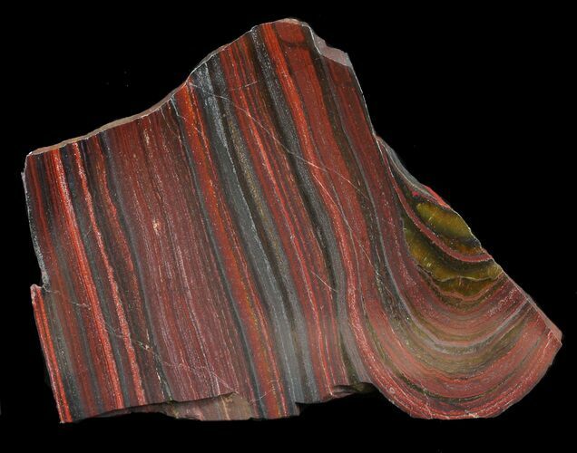 Polished Tiger Iron Stromatolite - ( Billion Years) #46814